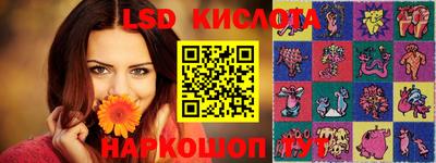 СК Абакан