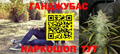 СК Абакан