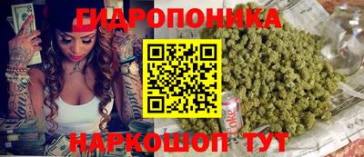 СК Абакан