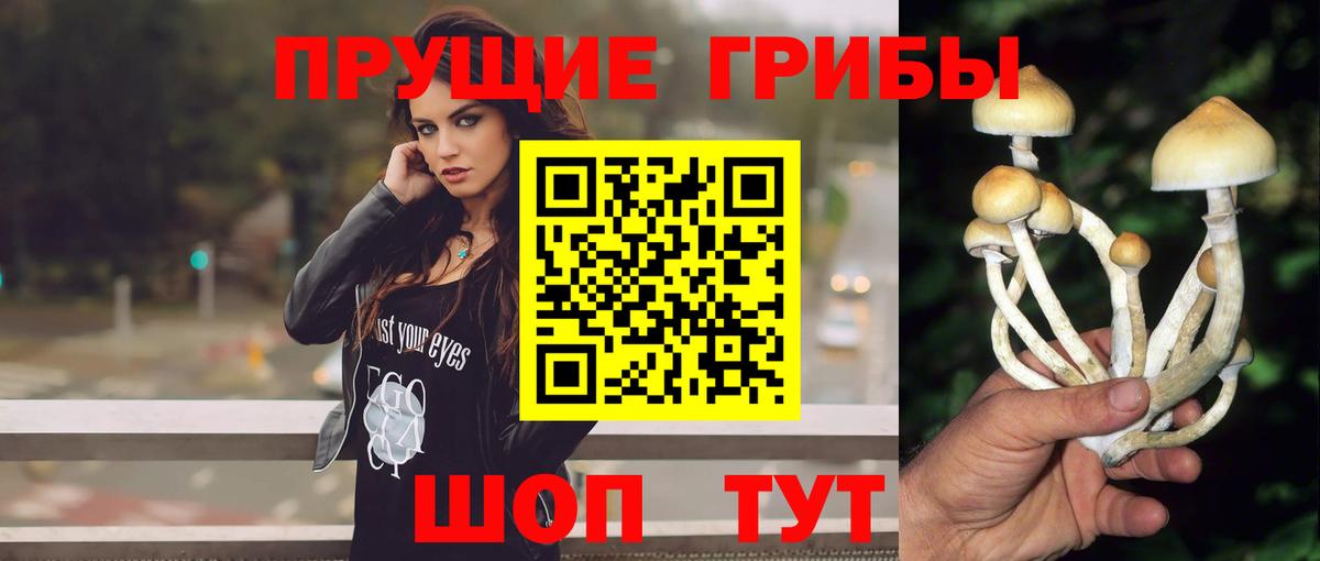 Галлюциногенные грибы прущие грибы  закладка  Алексеевка  Вход с VPN 