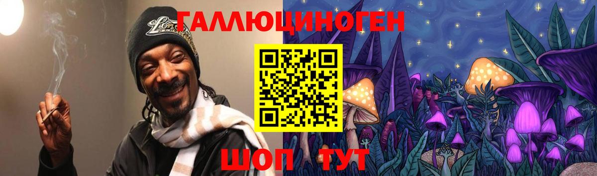 Галлюциногенные грибы Psilocybe Алексеевка