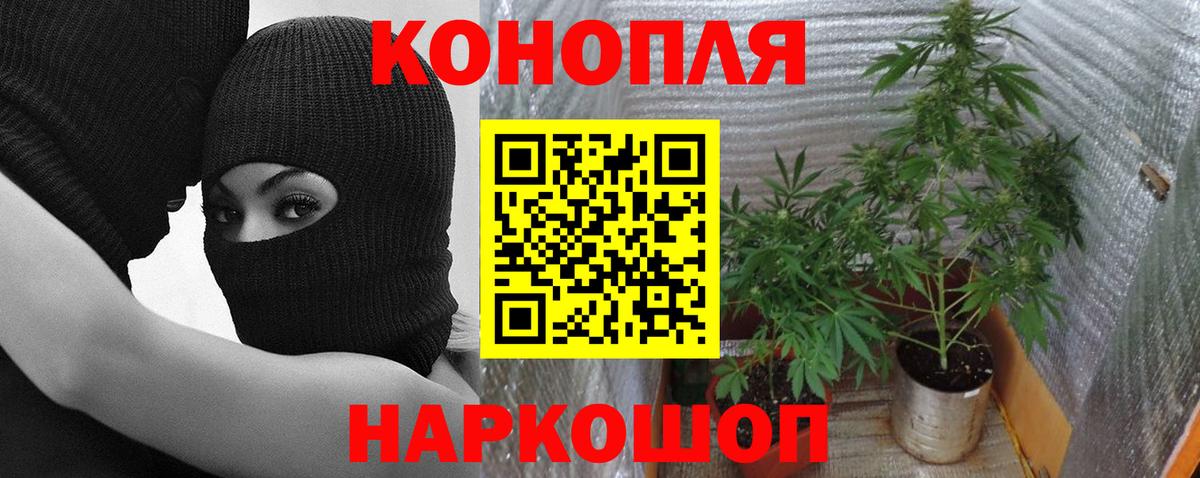 Бошки марихуана VHQ  Шишки марихуана SATIVA & INDICA  Вход с VPN  Алексеевка 